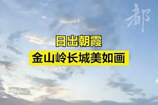 半岛综合app能下载嘛安卓截图3